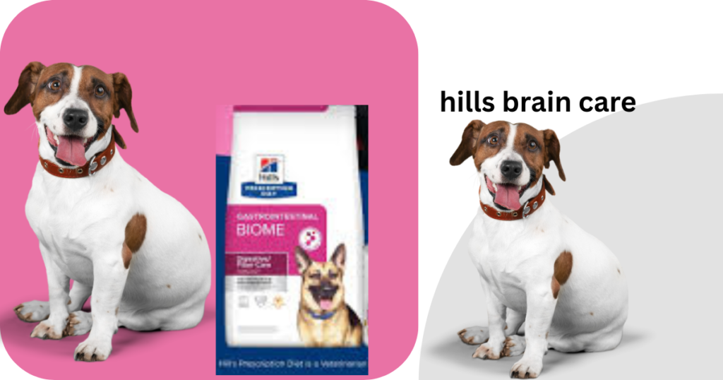 hills brain care​